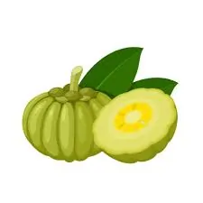 Garcinia Cambogia for appetite suppression