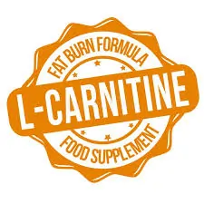 L-Carnitine for cellular energy transfer